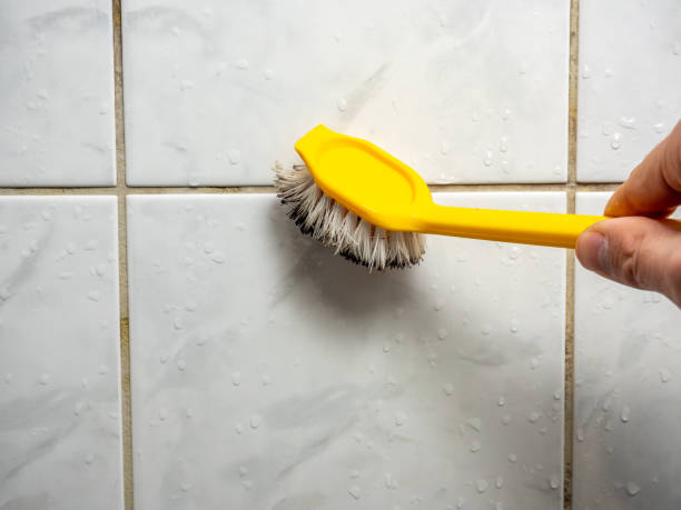 Trusted Falmouth, KY Mold Removal Experts